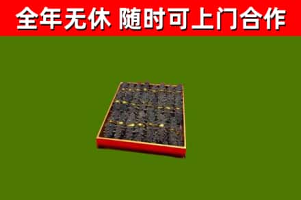 柞水回收海参